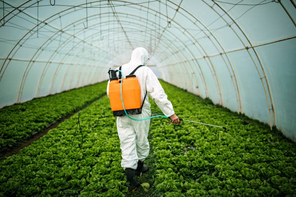 Best Affordable Pest Control Services  in Elk Grove Vlage, IL